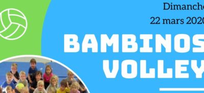 Le retour du Bambinos volley !