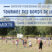 Tournoi des bords de Loire de Volley 2023